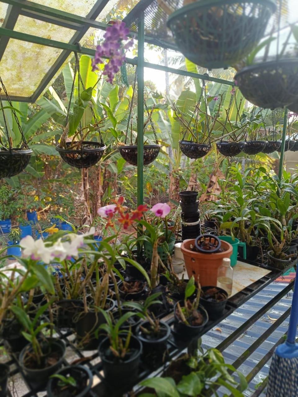 Chaithritha Ladies Homestay Thiruvananthapuram Zewnętrze zdjęcie