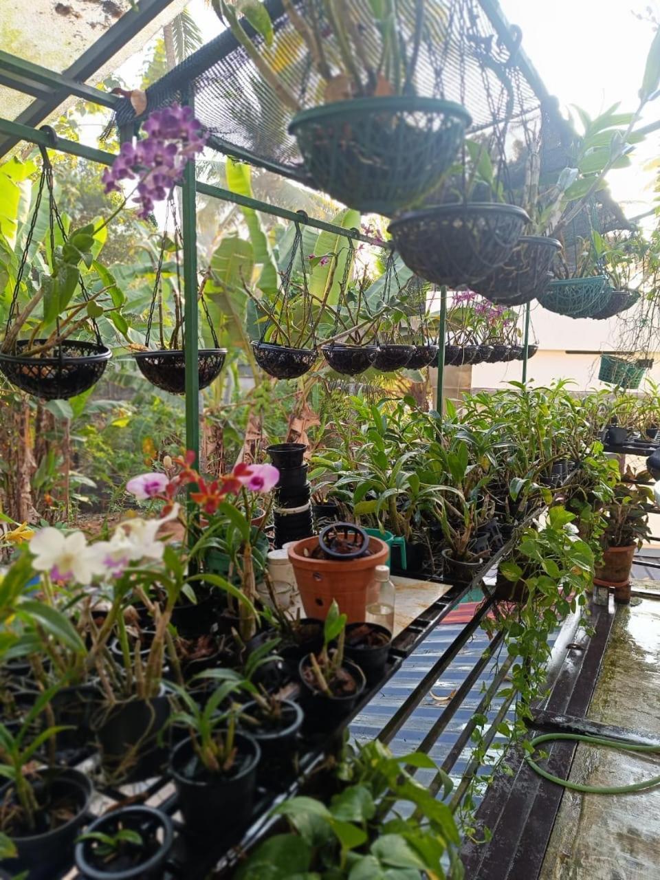 Chaithritha Ladies Homestay Thiruvananthapuram Zewnętrze zdjęcie